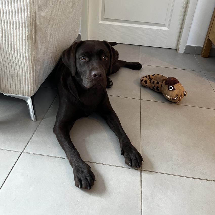 marie-christine-r.-villeneuve-lez-av